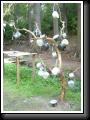 DSCN1786.JPG