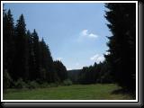 IMG_4071.JPG