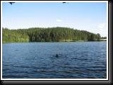 IMG_4152.JPG