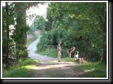IMG_4156.JPG