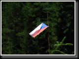 IMG_4203.JPG