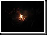 IMG_4337.JPG