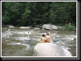 IMG_8357.JPG