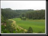 IMG_8378.JPG