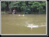 IMG_8436.JPG